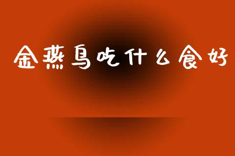 金燕鸟吃什么食好_https://wap.lxcailiao.com_融资担保_第1张