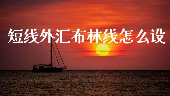 短线外汇布林线怎么设_https://wap.lxcailiao.com_融资担保_第1张