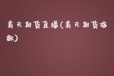 美元期货直播(美元期货指数)_https://wap.lxcailiao.com_融资担保_第1张