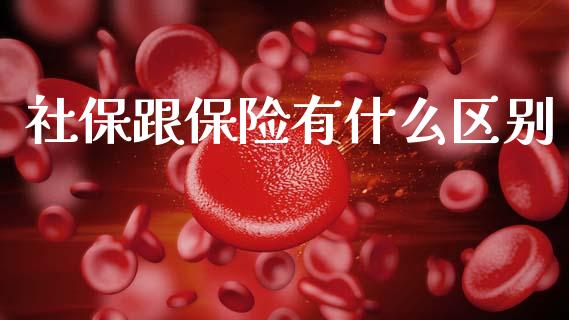 社保跟保险有什么区别_https://wap.lxcailiao.com_金融监管_第1张
