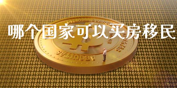 哪个国家可以买房移民_https://wap.lxcailiao.com_融资担保_第1张