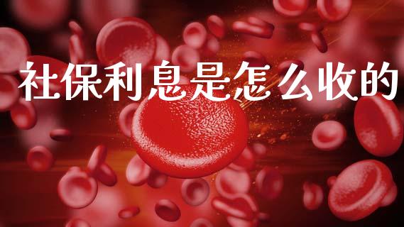社保利息是怎么收的_https://wap.lxcailiao.com_股权投资_第1张