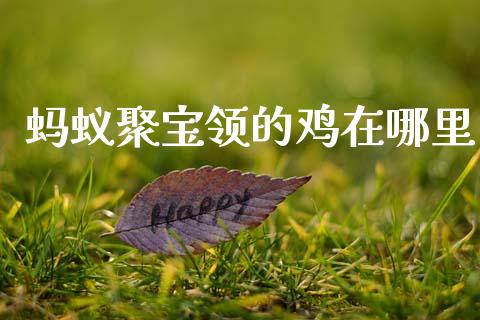 蚂蚁聚宝领的鸡在哪里_https://wap.lxcailiao.com_股权投资_第1张