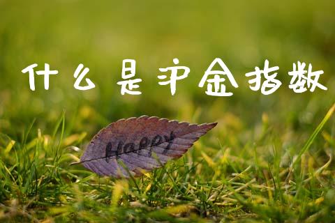 什么是沪金指数_https://wap.lxcailiao.com_融资担保_第1张