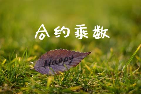 合约乘数_https://wap.lxcailiao.com_融资担保_第1张
