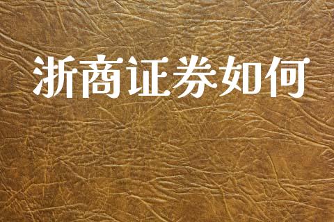 浙商证券如何_https://wap.lxcailiao.com_金融监管_第1张