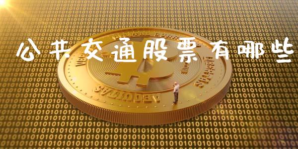公共交通股票有哪些_https://wap.lxcailiao.com_股权投资_第1张