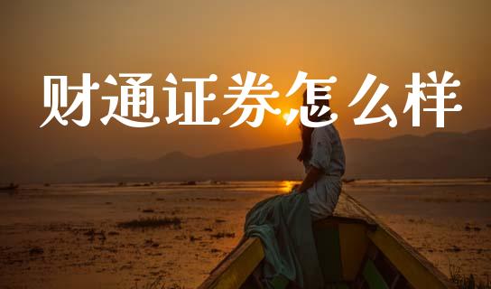 财通证券怎么样_https://wap.lxcailiao.com_金融监管_第1张