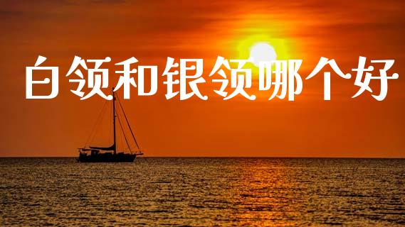 白领和银领哪个好_https://wap.lxcailiao.com_财务管理_第1张