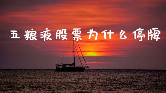 五粮液股票为什么停牌_https://wap.lxcailiao.com_融资担保_第1张
