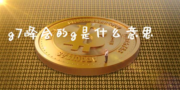 g7峰会的g是什么意思_https://wap.lxcailiao.com_股权投资_第1张