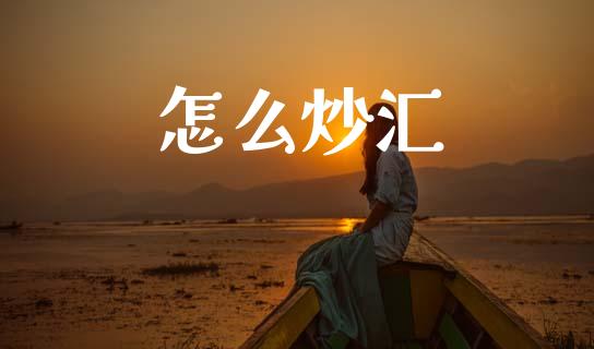 怎么炒汇_https://wap.lxcailiao.com_融资担保_第1张