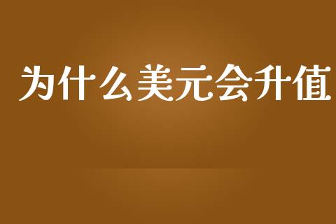 为什么美元会升值_https://wap.lxcailiao.com_股权投资_第1张