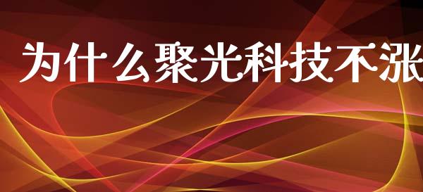 为什么聚光科技不涨_https://wap.lxcailiao.com_金融监管_第1张