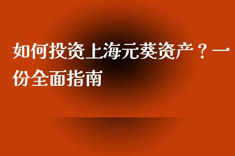 如何投资上海元葵资产？一份全面指南_https://wap.lxcailiao.com_融资担保_第1张