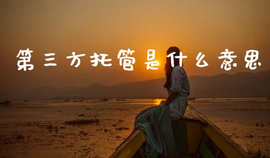 第三方托管是什么意思_https://wap.lxcailiao.com_股权投资_第1张