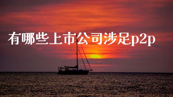 有哪些上市公司涉足p2p_https://wap.lxcailiao.com_财务管理_第1张
