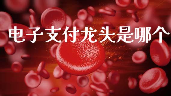 电子支付龙头是哪个_https://wap.lxcailiao.com_股权投资_第1张