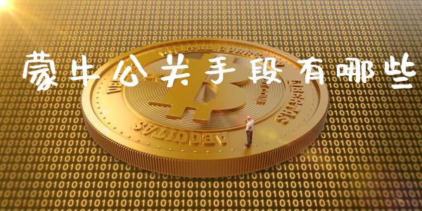 蒙牛公关手段有哪些_https://wap.lxcailiao.com_股权投资_第1张