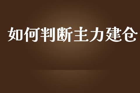 如何判断主力建仓_https://wap.lxcailiao.com_金融监管_第1张