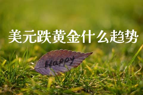 美元跌黄金什么趋势_https://wap.lxcailiao.com_股权投资_第1张