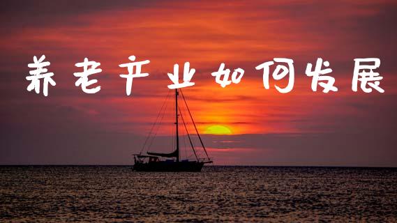 养老产业如何发展_https://wap.lxcailiao.com_股权投资_第1张