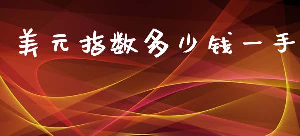 美元指数多少钱一手_https://wap.lxcailiao.com_股权投资_第1张