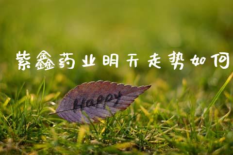 紫鑫药业明天走势如何_融资担保_第1张_金融监管_融资担保_财务管理_股权投资 紫鑫药业明天走势如何_https://wap.lxcailiao.com_融资担保_第1张
