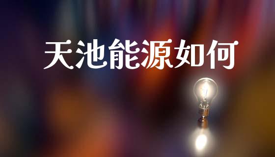 天池能源如何_https://wap.lxcailiao.com_财务管理_第1张