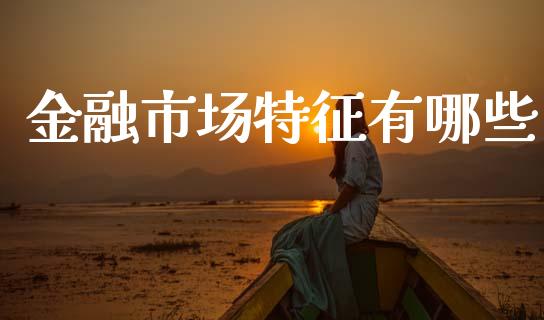 金融市场特征有哪些_https://wap.lxcailiao.com_财务管理_第1张