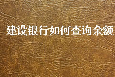 建设银行如何查询余额_https://wap.lxcailiao.com_融资担保_第1张