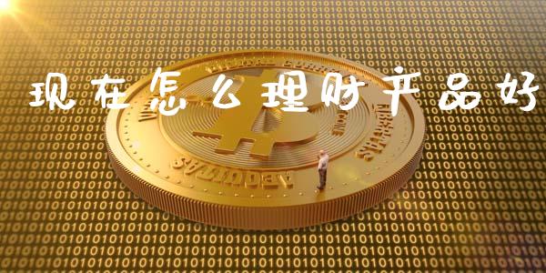 现在怎么理财产品好_https://wap.lxcailiao.com_融资担保_第1张
