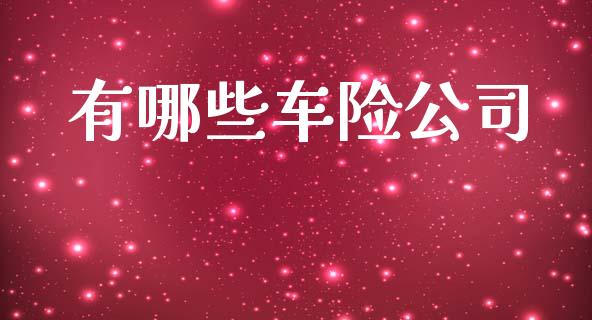 有哪些车险公司_https://wap.lxcailiao.com_股权投资_第1张