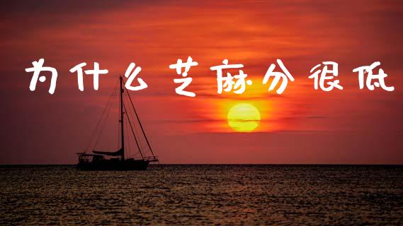 为什么芝麻分很低_https://wap.lxcailiao.com_股权投资_第1张