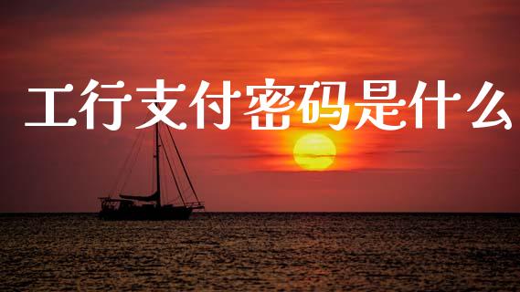 工行支付密码是什么_https://wap.lxcailiao.com_金融监管_第1张