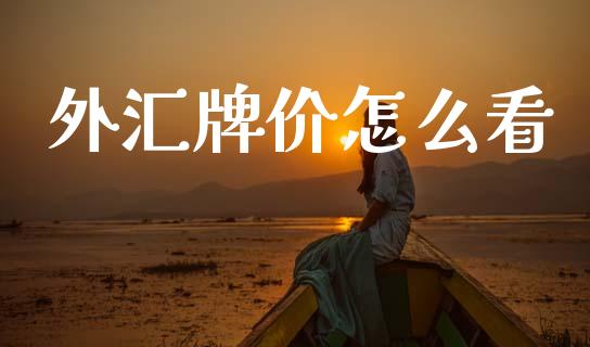外汇牌价怎么看_https://wap.lxcailiao.com_财务管理_第1张