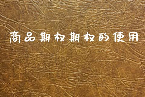 商品期权期权的使用_https://wap.lxcailiao.com_股权投资_第1张