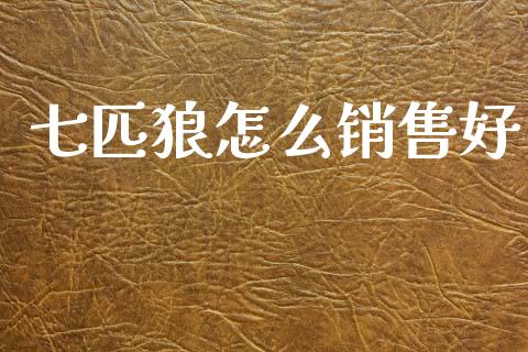 七匹狼怎么销售好_https://wap.lxcailiao.com_财务管理_第1张