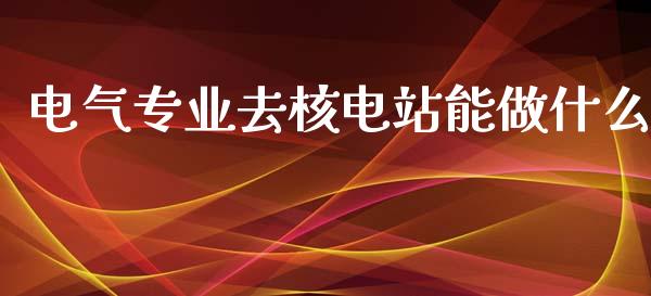 电气专业去核电站能做什么_https://wap.lxcailiao.com_金融监管_第1张