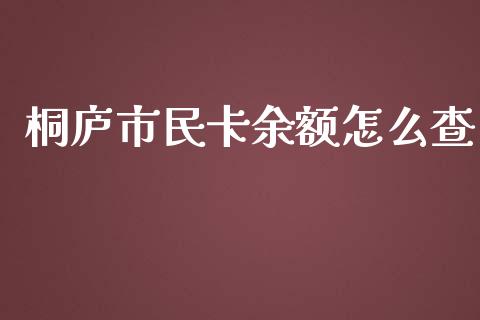 桐庐市民卡余额怎么查_https://wap.lxcailiao.com_金融监管_第1张