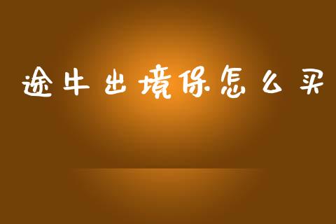 途牛出境保怎么买_https://wap.lxcailiao.com_金融监管_第1张
