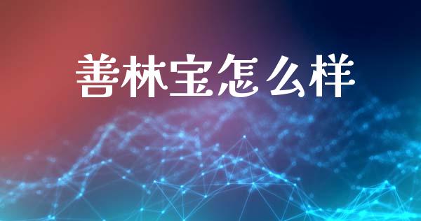 善林宝怎么样_https://wap.lxcailiao.com_财务管理_第1张