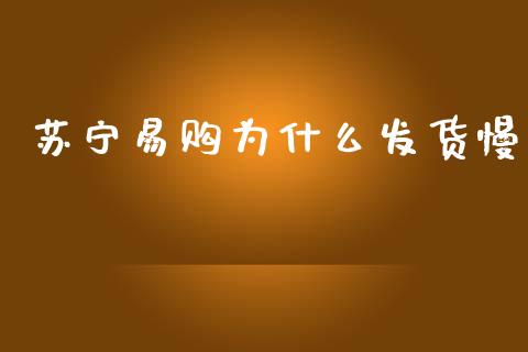 苏宁易购为什么发货慢_https://wap.lxcailiao.com_金融监管_第1张