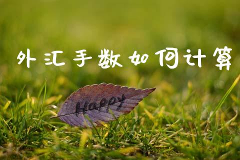 外汇手数如何计算_https://wap.lxcailiao.com_股权投资_第1张