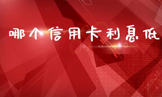 哪个信用卡利息低_https://wap.lxcailiao.com_融资担保_第1张