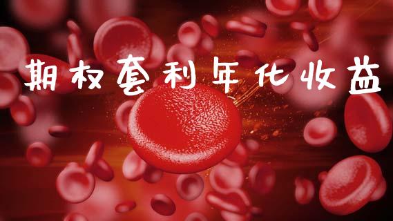 期权套利年化收益_https://wap.lxcailiao.com_财务管理_第1张