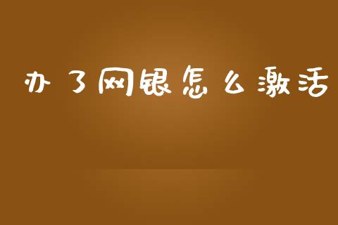 办了网银怎么激活_https://wap.lxcailiao.com_股权投资_第1张
