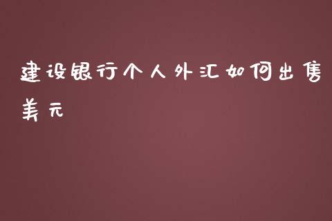 建设银行个人外汇如何出售美元_https://wap.lxcailiao.com_融资担保_第1张
