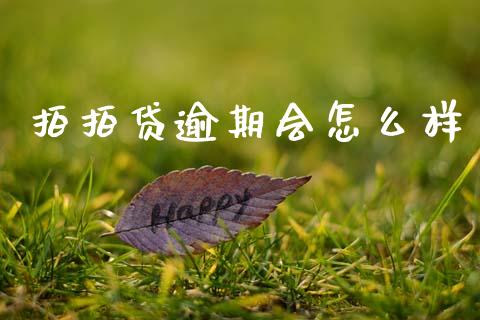 拍拍贷逾期会怎么样_https://wap.lxcailiao.com_财务管理_第1张