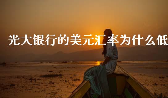 光大银行的美元汇率为什么低_https://wap.lxcailiao.com_财务管理_第1张